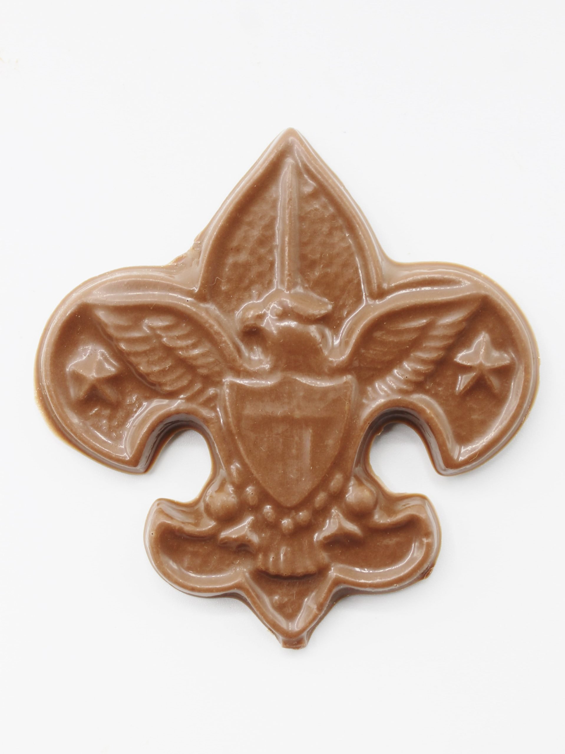 Boy Scout Badge
