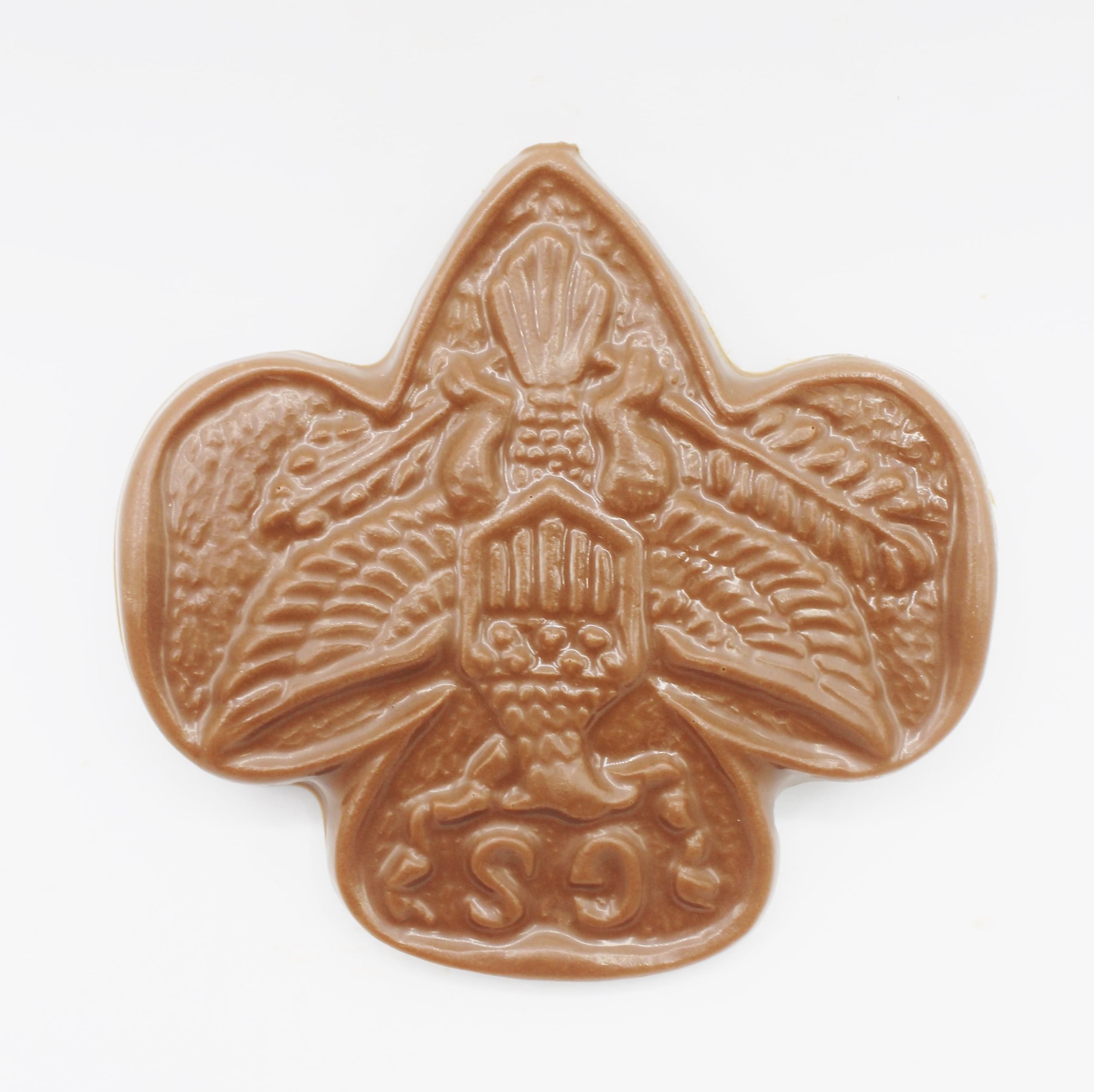 Girl Scout Badge
