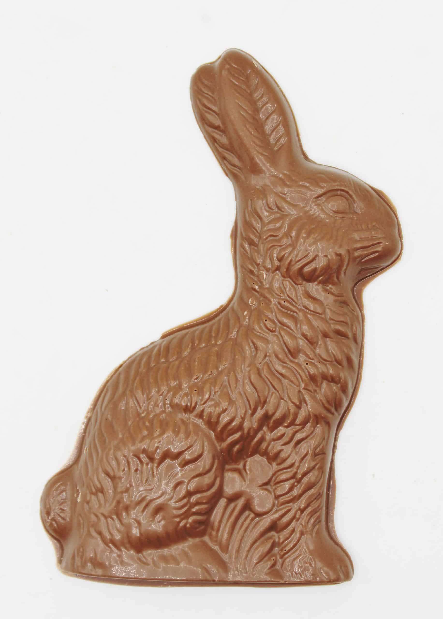 NEW Flat Bunny Milk 4oz scaled 1