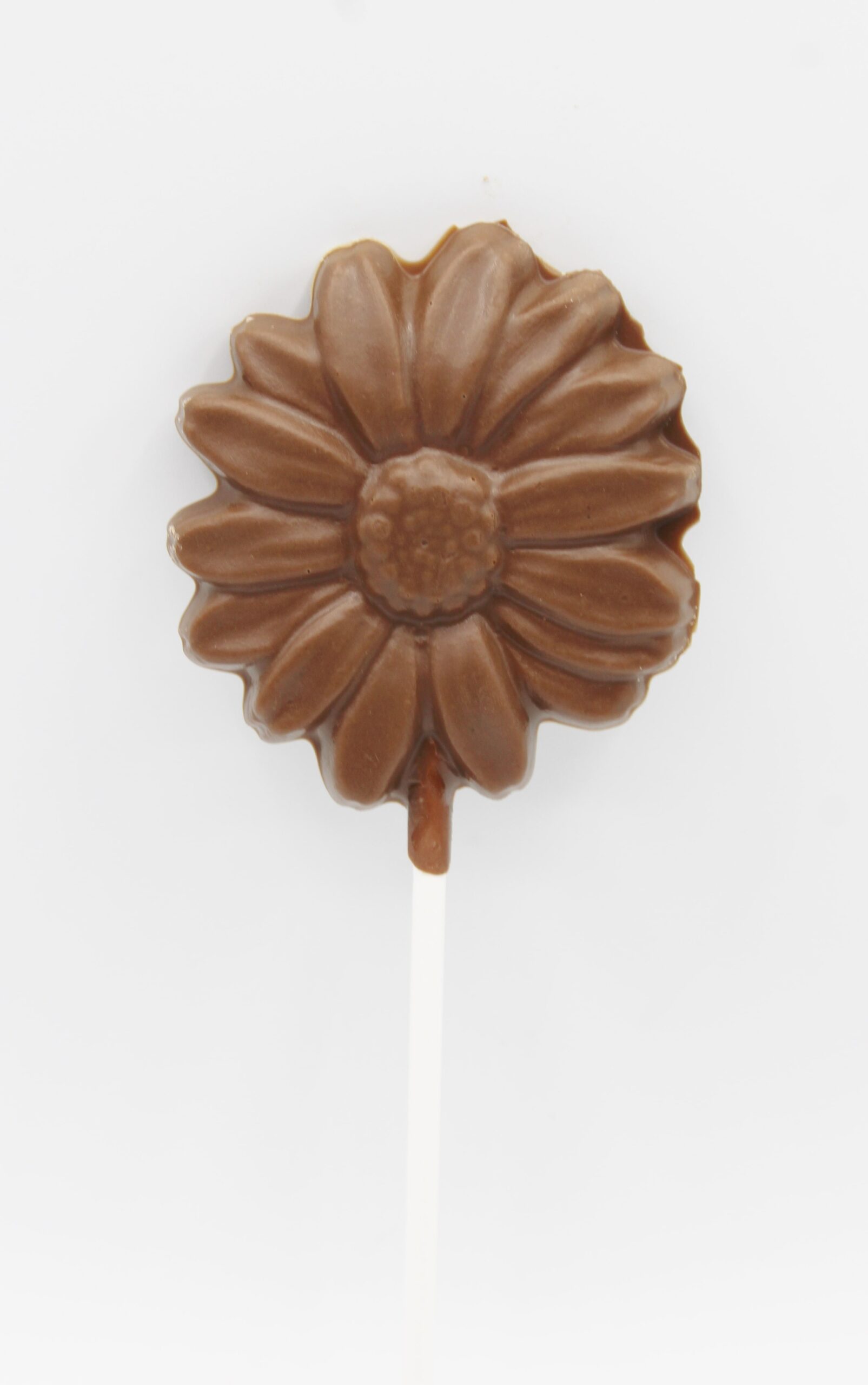 Daisy Pop min