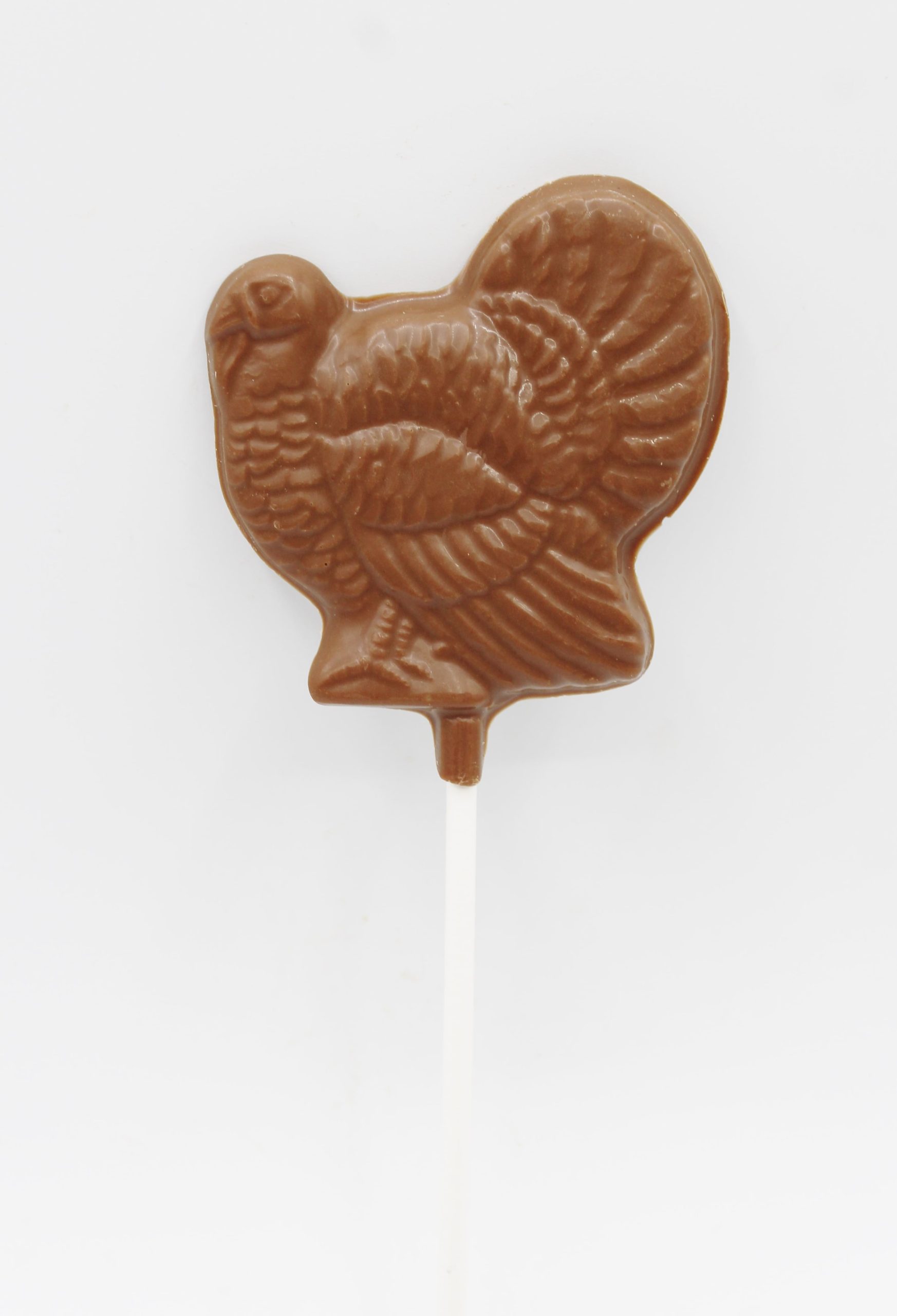 Turkey Pop min